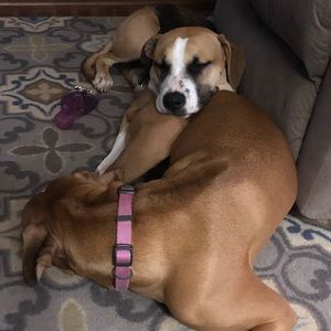 Meet your Posher, Candice